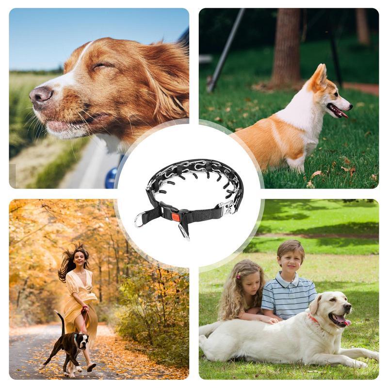 Collar de entrenamiento para perros, Gargantilla de liberación rápida, desmontable, pinzas con tiras adhesivas, Ultra-Plus