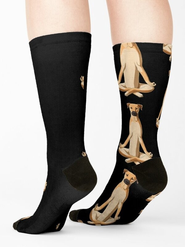 Funny Black mouth cur Socks socks designer brand snow funny gift Socks Woman Men's