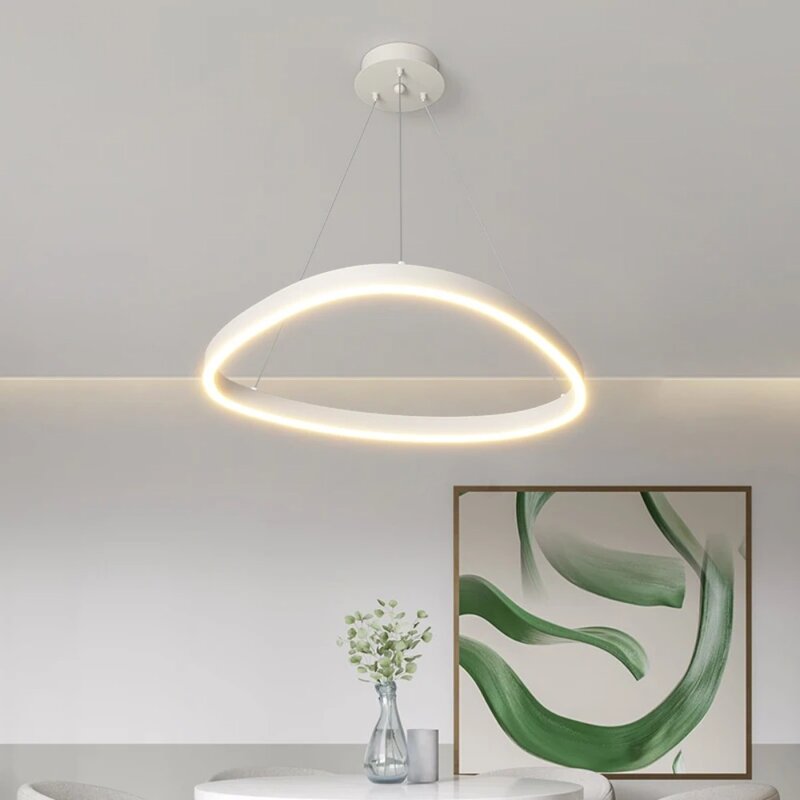 Moderni anelli spazzolati lampadario a Led illuminazione domestica a soffitto per soggiorno camera da letto lampada a sospensione luci di colore bianco e nero