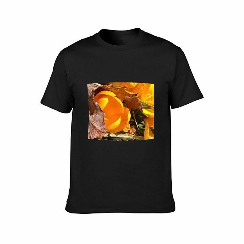 Camiseta de primavera Blossems 3 para hombre, ropa estética de nueva edición de aduanas, camisetas de peso pesado