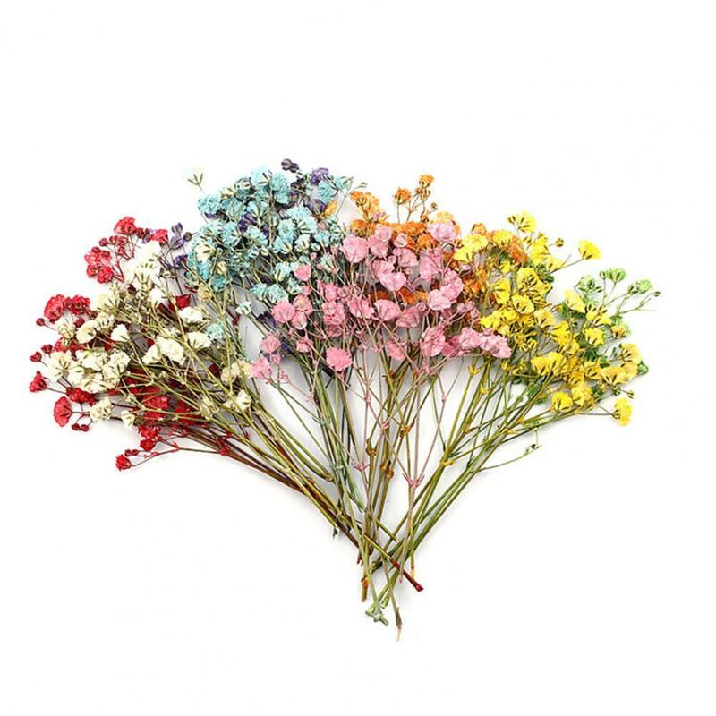 Bouquets de fleurs de gypsophile séchées colorées, fleurs réalistes, mode, 12 pièces