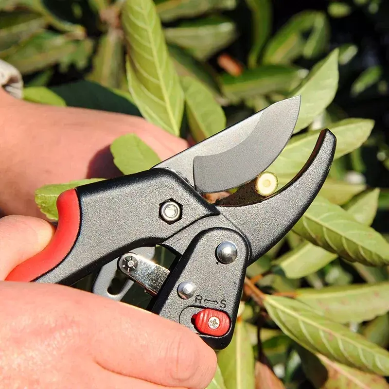 Nożyce do przycinanie ogrodu nożyc z grzechotką SK5 stalowe nożyczki do przycinania gałęzi ogrodniczych narzędzia ogrodnicze nożycowe