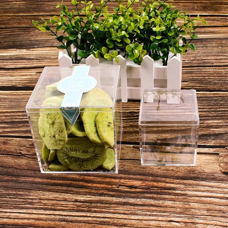 Transparent With Cover Plastic Organizer Square Packing Box Storage Container