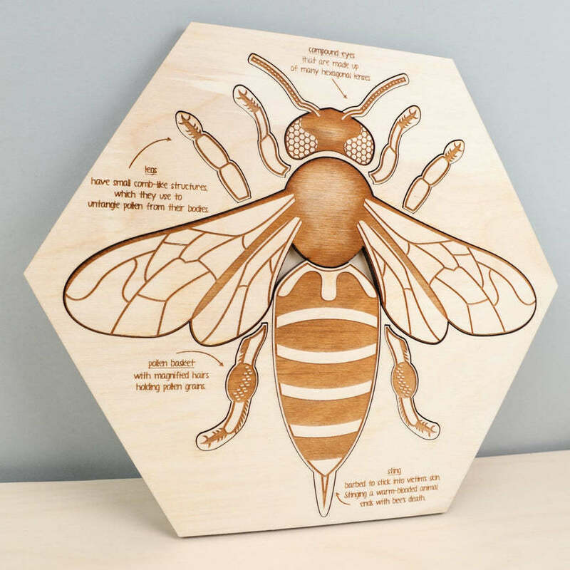 Honeybee Struktur Anatomi Kayu Multilapis Puzzle Anak Belajar Kognisi Puzzle Mainan Hadiah