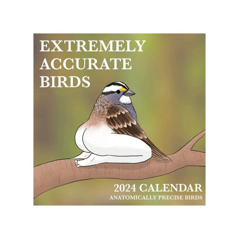 Calendrier 2024 des oiseaux extrêmement précis 2024 Calendar-21x21cm d'oiseaux