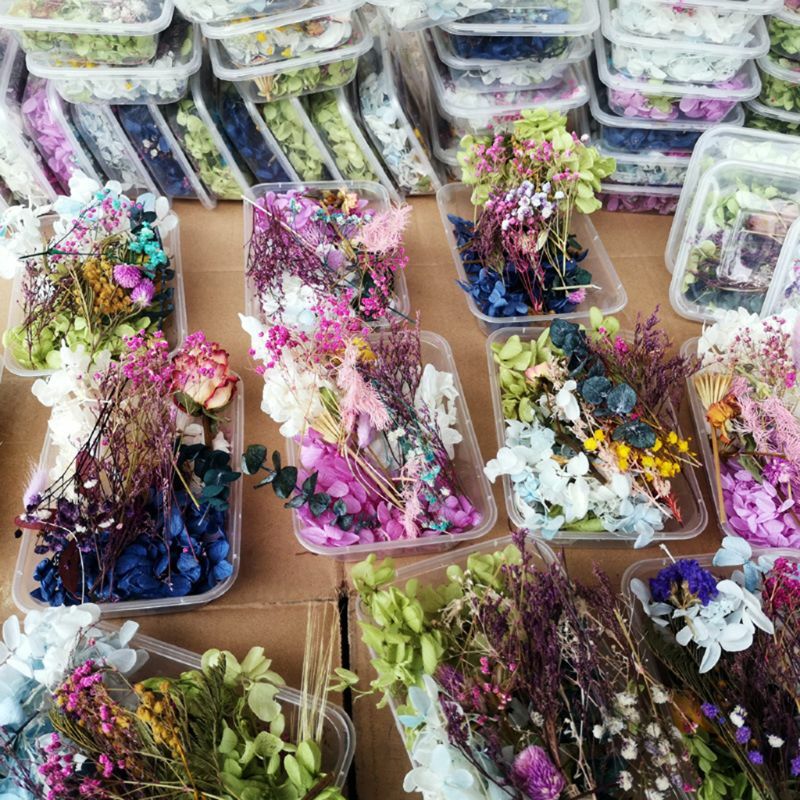 1 Kotak Bunga Kering Campuran Asli untuk Perhiasan Resin Tanaman Kering Bunga Ditekan Membuat Kerajinan DIY Aksesori Penggunaan