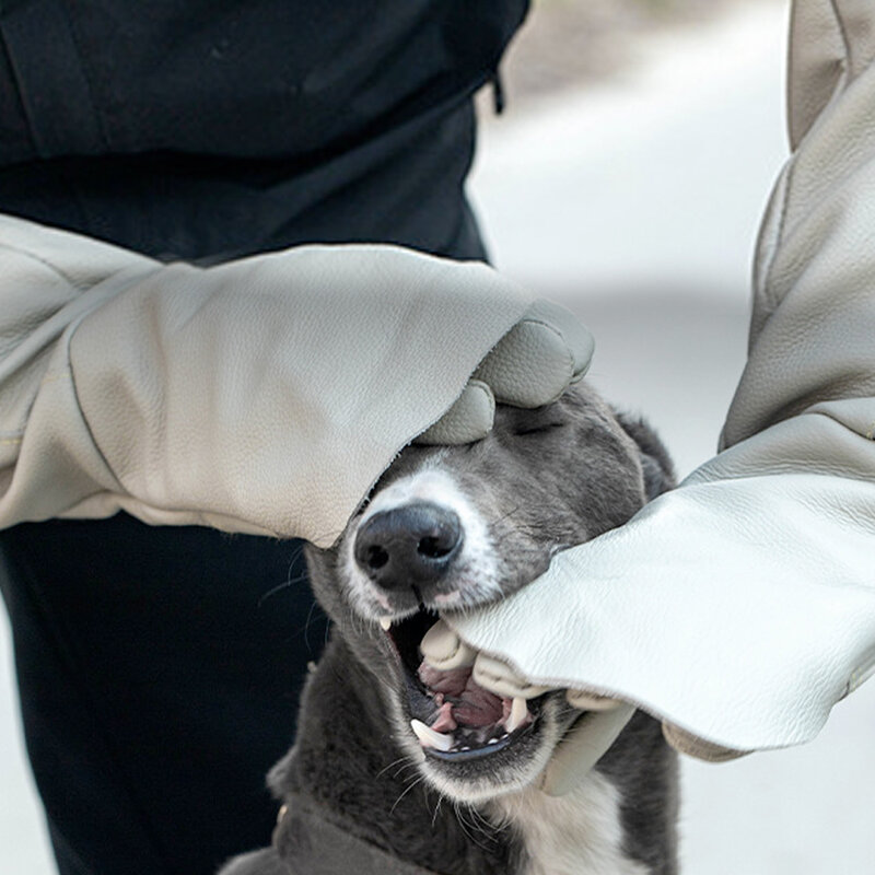 Guanti per animali domestici guanti protettivi Anti-presa in pelle di vacchetta guanti da lavoro per giardinaggio per cani e gatti guanti in Kevlar per addestramento di animali domestici