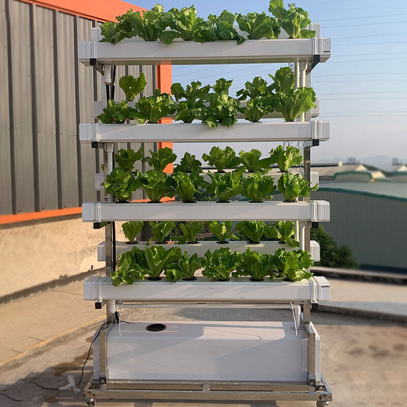 水耕栽培システム野菜のイチゴの植栽スマート屋内プランター垂直LED反射性システム園芸機器