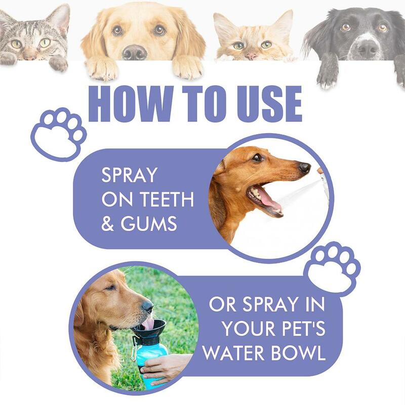 30ml Pet Spray orale cani pulizia dei denti Spray rimozione del respiro del cane Pet Supply Pet Care placca deodorante deodorante Pet H5M7