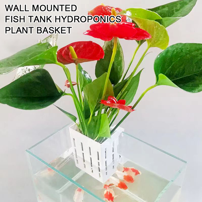 Fish Tank Hanging Basket For Planting Stable Aquascapes Decorative Rack For Aquaticplants