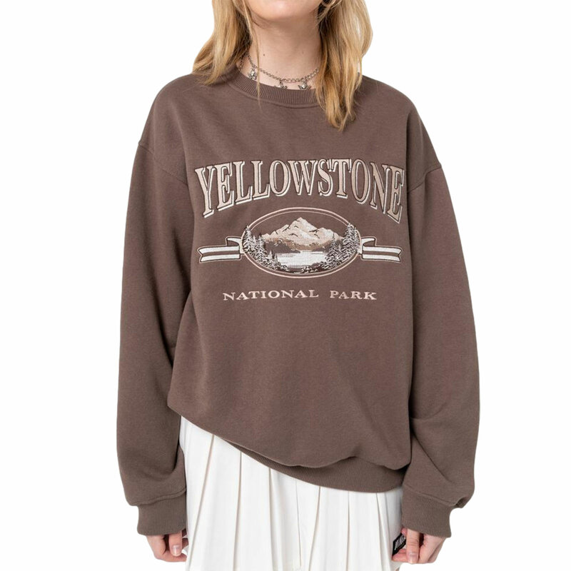 Sweter lengan panjang kasual Y2K wanita, Sweatshirt Pullover longgar pemandangan huruf modis musim gugur kerah O 2023