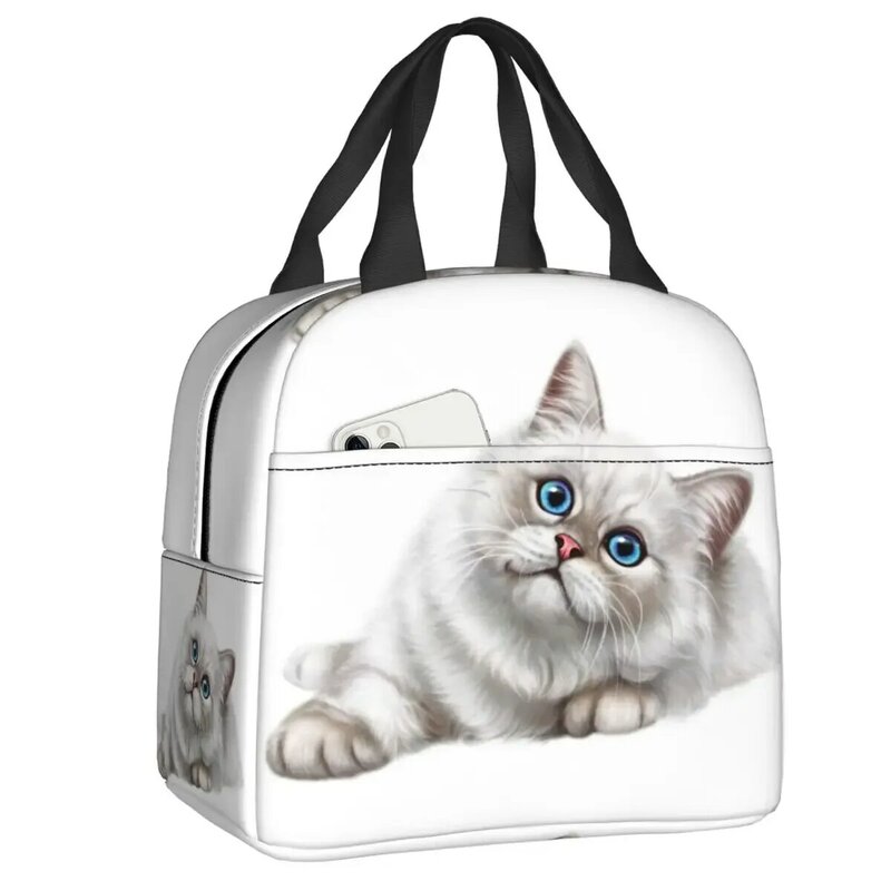 Niedliche hinterhältige Katze Lunch Bag tragbare thermische Kühler isolierte Lunch Tote Box für Frauen Kinder Büro Picknick Reise Food Taschen