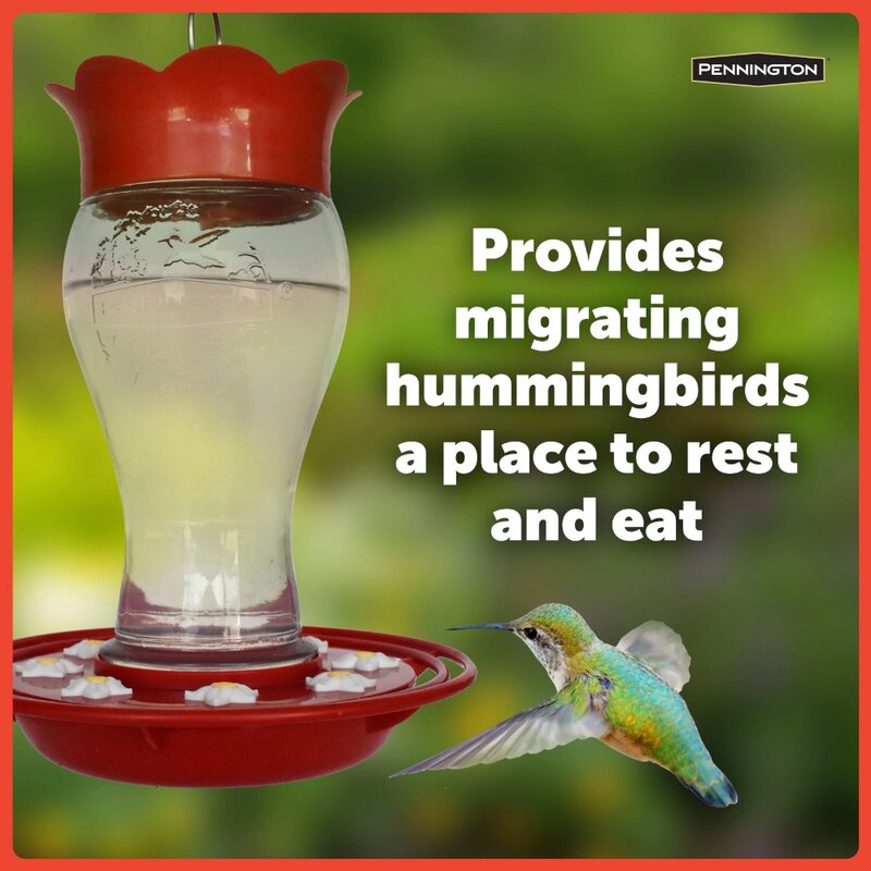 Alimentador do pássaro do colibri do vidro vermelho, 28 oz capacidade, 2 bloco