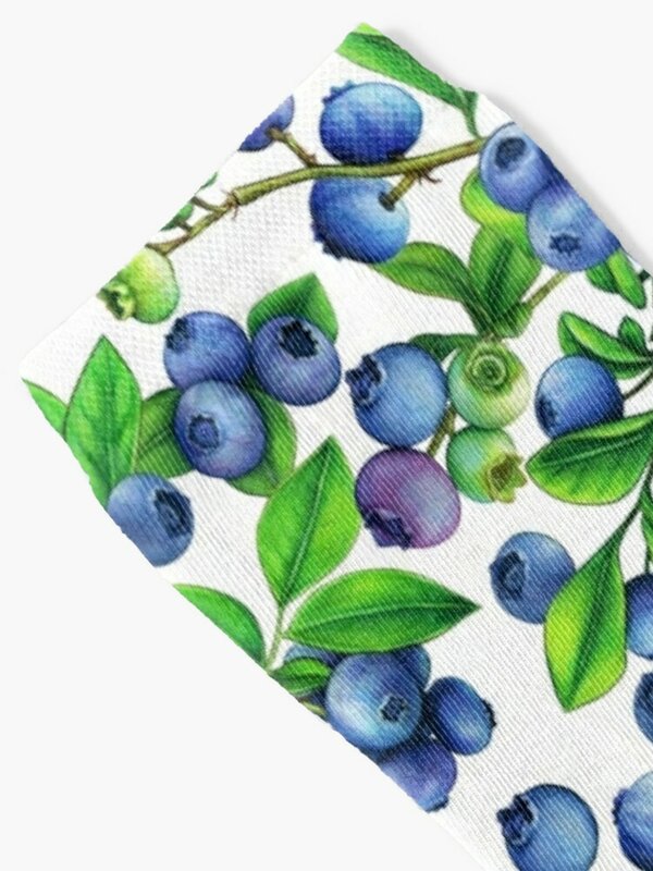 Bosbessen Fruit Aquarel Patroon Sokken Heren Sokken Dames Compressie Sokken Grappige Sokken