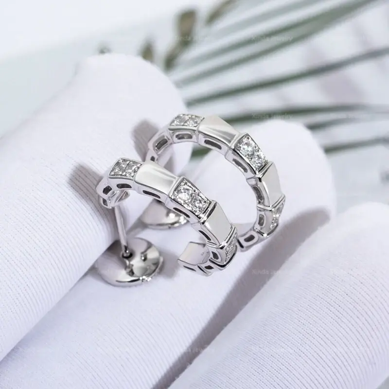 Classic 925 Sterling Silver Zircon Snake Bone Earrings for Women's Elegant Fashion Brand Luxury Jewelry Banquet Gift