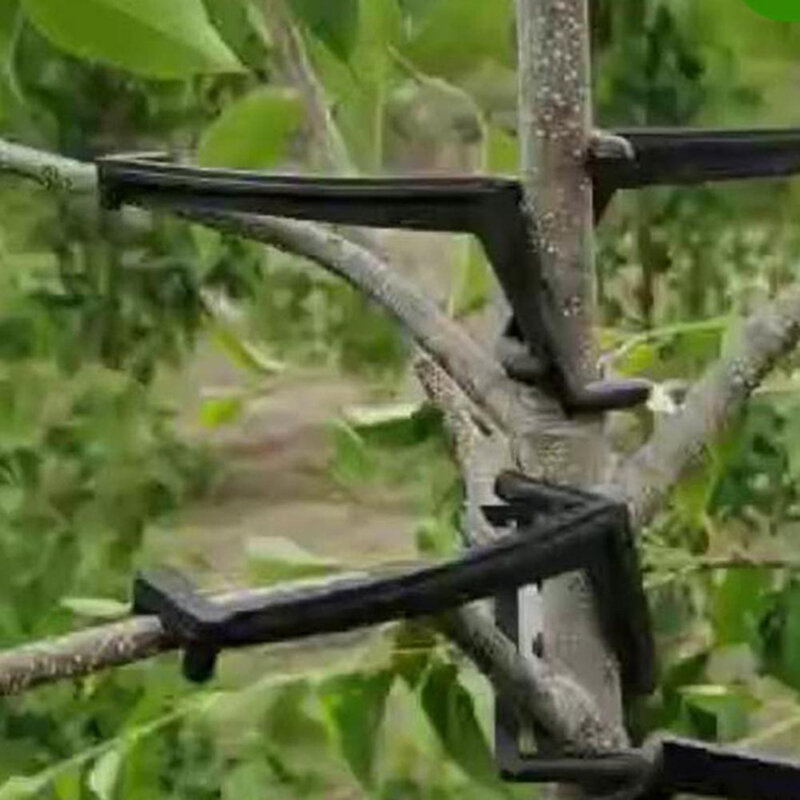 10 sztuk gałąź drzewa owocowego es uchwyt gałęzi owoców rozrzutnik gałąź drzewa wspornik dla silnego oddziału dla gałąź drzewa es Fixe