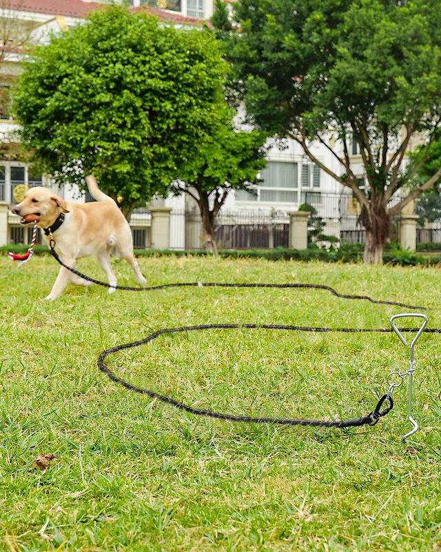 Tali anjing panjang 10/15 meter, tali latihan anjing reflektif pegangan lembut dengan kait dapat dikunci, tali anjing untuk anjing berkemah ukuran sedang besar