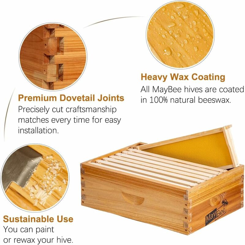 10-ramowe pudełko uli Langstroth średniej Super pszczoła na sprzedaż pokryte woskiem ule zawierają drewniane ramy