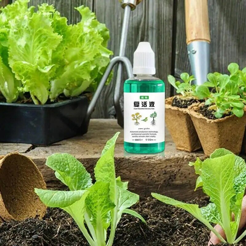 Estimulador de raízes vegetais Solução de crescimento rápido, Líquido de rejuvenescimento de plantas em vaso