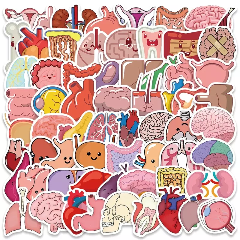 65 Stuks Cartoon Menselijk Orgel Schattige Medische Anatomie Sticker Laptop Fiets Gitaar Telefoon Kid Speelgoed Diy Graffiti Waterdichte Stickers