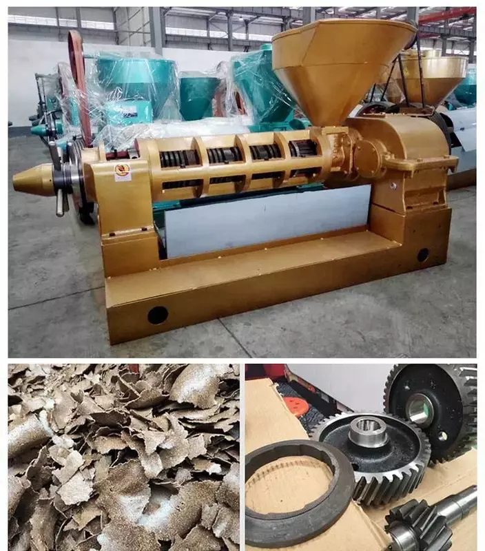 200 kg/h Hot sale 6YL-100 sunflower rapseed automatic screw oil press machine