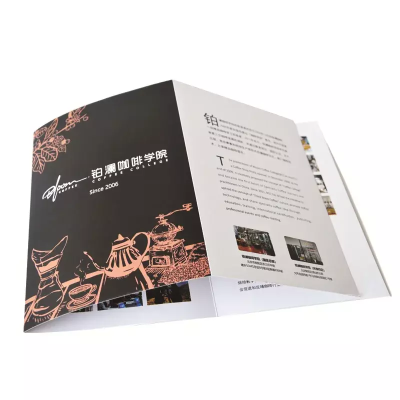 Folheto impresso promocional, catálogo folheto, livreto impressão serviço, produto personalizado