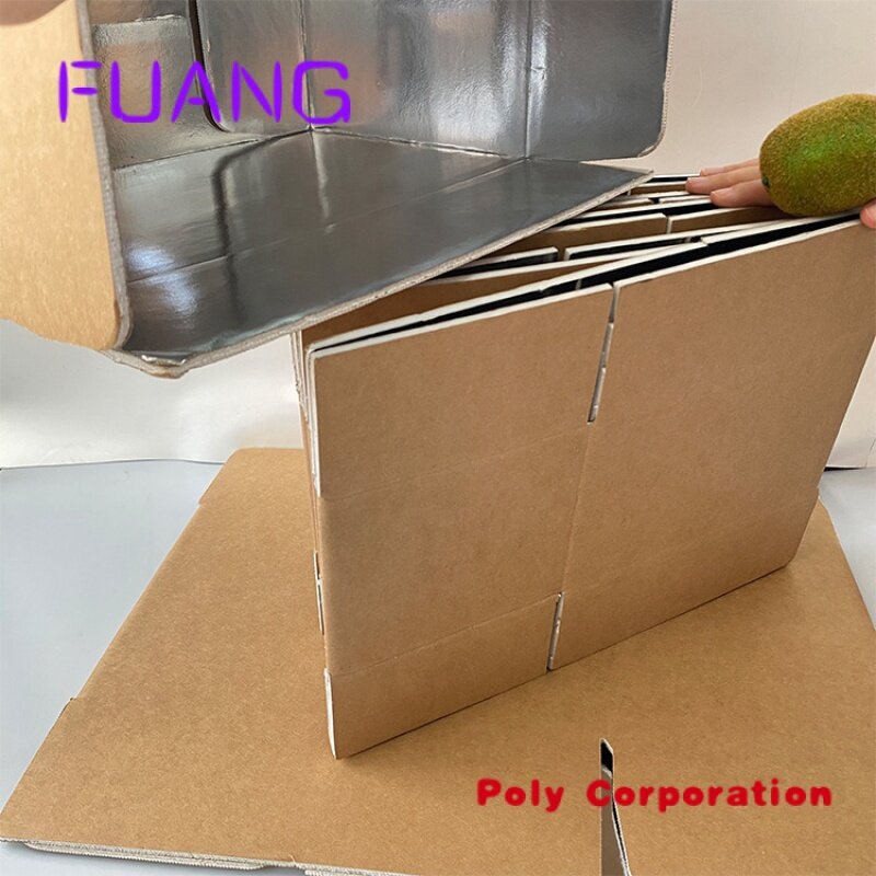 맞춤형 로고 고품질 알루미늄 호일 절연 카톤, 소기업 우편물 포장 상자