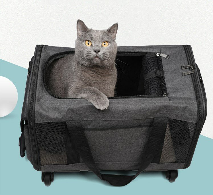 Kot domowy przewoźnik toczący się wózek dla szczeniąt Zatwierdzone przez linie lotnicze koła podróżne torba na bagaż