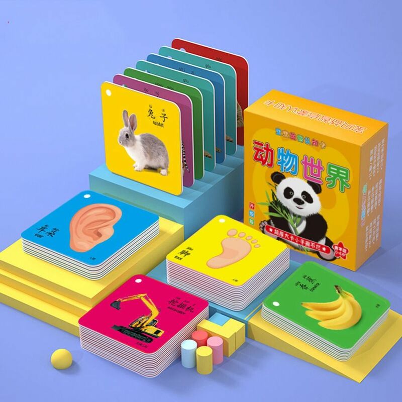 Cartes de poche Montessori dos pour enfants, jouet de lettres mathématiques, mot, apprentissage des chiffres, apprentissage des bébés, carte Flash
