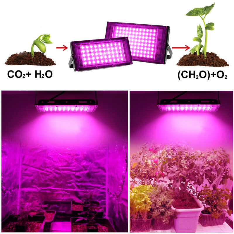 220V oświetlenie LED do uprawy Full Spectrum lampa do roślin Floodlight Phytolamp do roślin szklarnia nasiona hydroponicznych 50W/100W/200W/300W