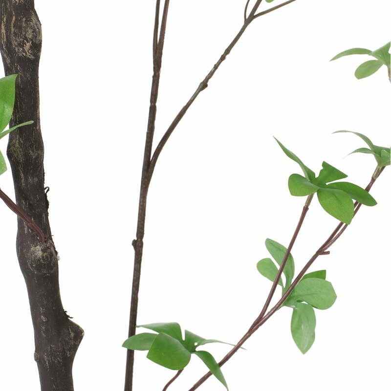 شجرة إنكيانثوس الاصطناعية ، ألوان المنزل النبيلة ، الأخضر ، 4x2.5 بوصة