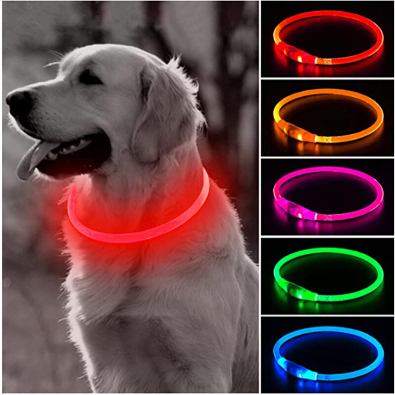 Destacável Glowing LED Light Dog Collar, carregamento USB, trela luminosa para gato grande, pequeno, brilhante Labrador Animais de estimação, produtos
