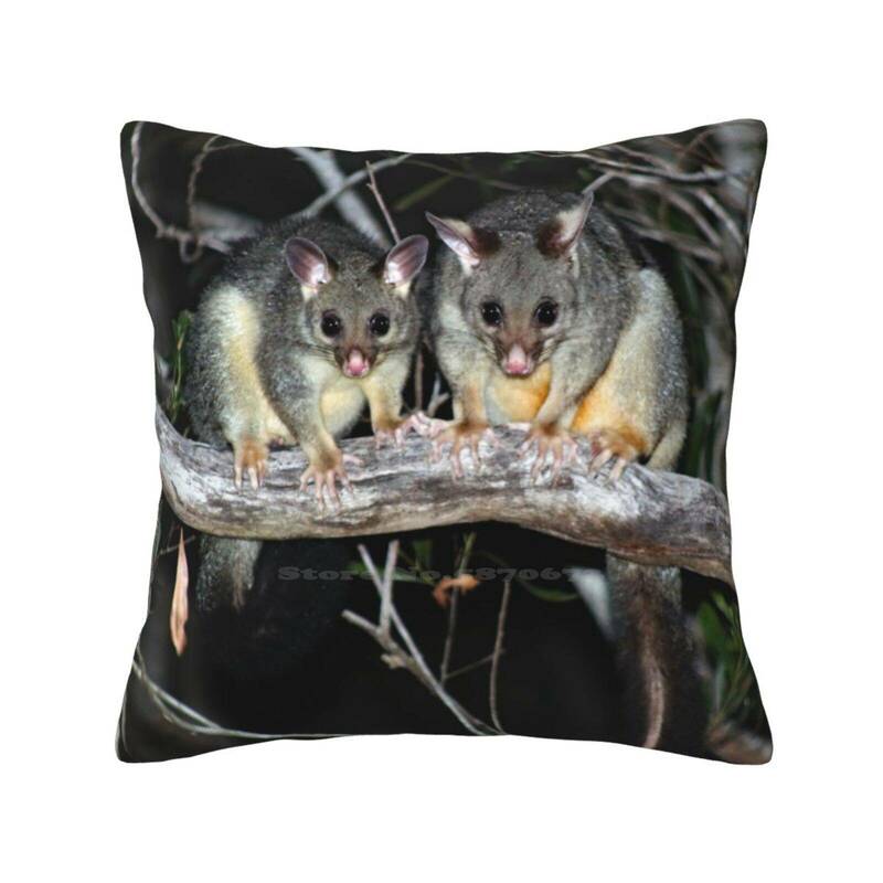 ? Австралийская наволочка Brushtail Possum, Забавный милый Декор, квадратная наволочка, австралийская наволочка Brushtail Possum Land для дикой природы, австралийская