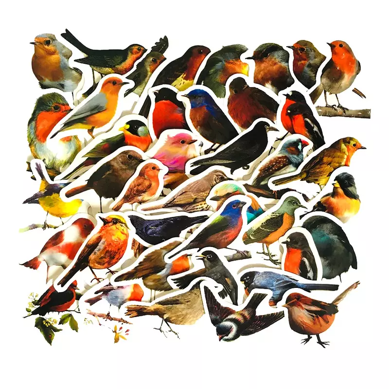 10/30/50PCS Realistic Color Robin Bird Cute Sticker For Toy Luggage Laptop IPad  DIY Journal Phone Case Window Sticker Wholesale