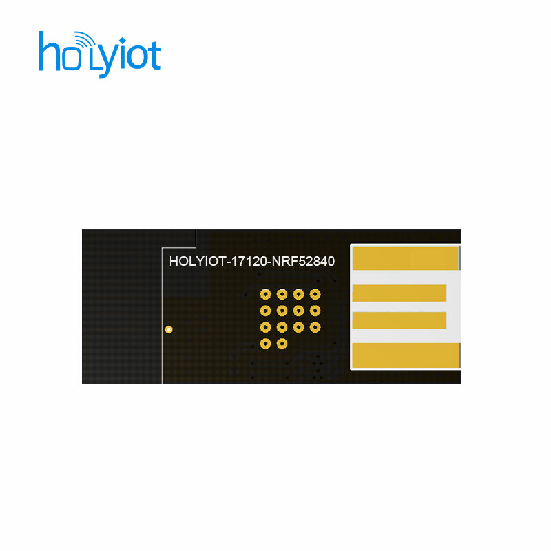 FCC CE Holyiot nRF52840 supporto dongle usb programmabile bluetooth DFU