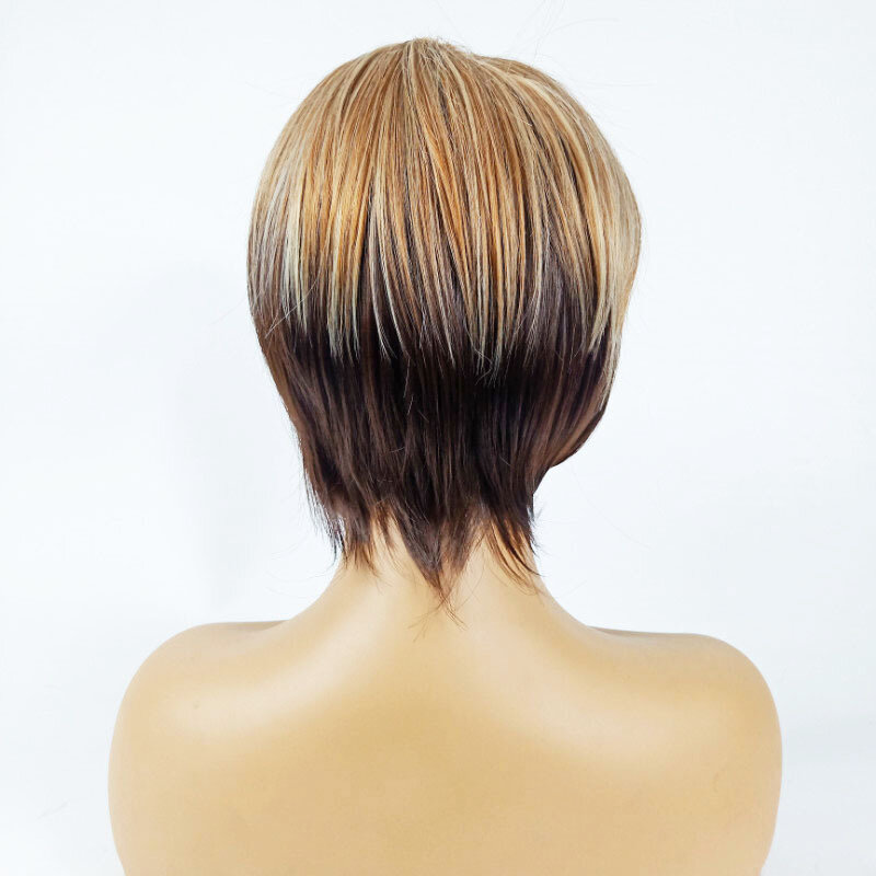 Nuova parrucca di moda capelli corti lisci raccomandazione fibra chimica copricapo di seta parrucca di capelli lisci corti di seta mista per le donne