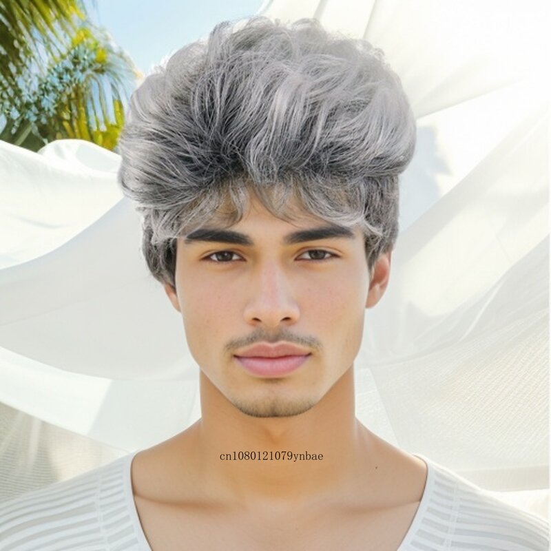 Mens Grey Wig Natural Synthetic Hair Handsome Male Fluffy Short Halloween Cosplay Wigs Heat Resistant Fiber Adjustable Cap Size