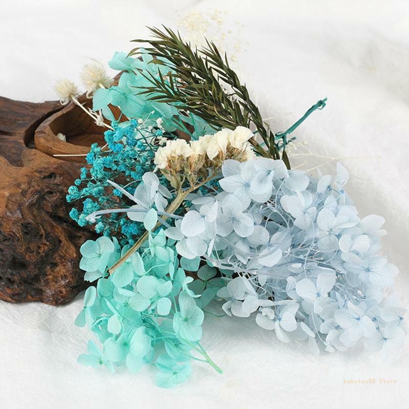 Y4UD-Kits DIY flores reales, 1 bolsa, flores secas, plantas naturales, adornos para manualidades, guirnalda elegante, sopa