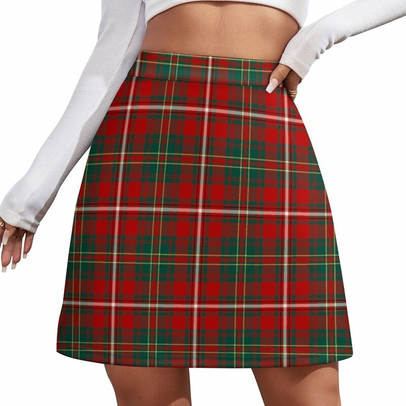 Clan Hay Tartan Mini Skirt women's clothing trend 2023 Sexy mini skirt