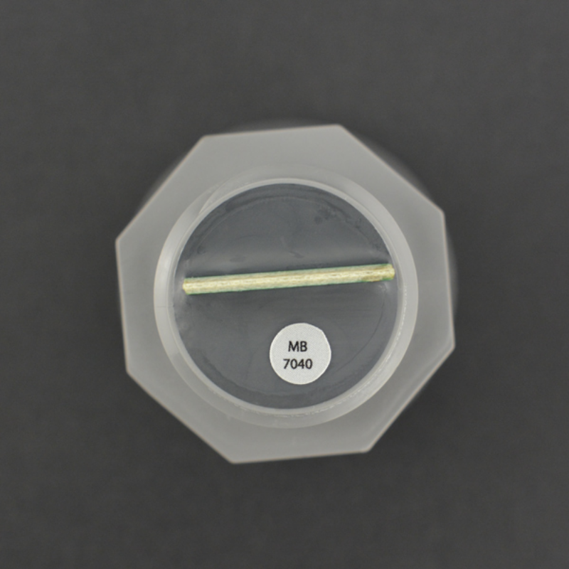 I2CXL-MaxSonar-WR Sensor ultrasonik tahan air (Mb7040)