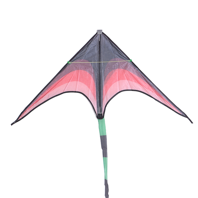 Large Delta Kites Tails com alça para crianças, brinquedos ao ar livre, Nylon Ripstop, Albatros Kite, direto da fábrica, 1Pc