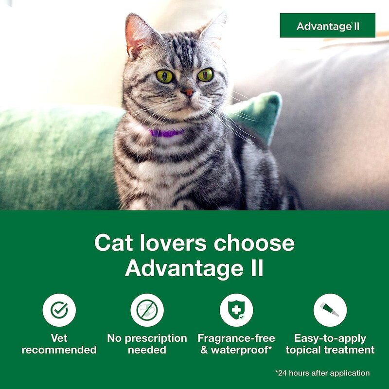 Small Cat Vet, Tratamento e Prevenção de Pulgas, Gatos 5 a 9 lbs., 6 Fornecimento Mês, Recomendado
