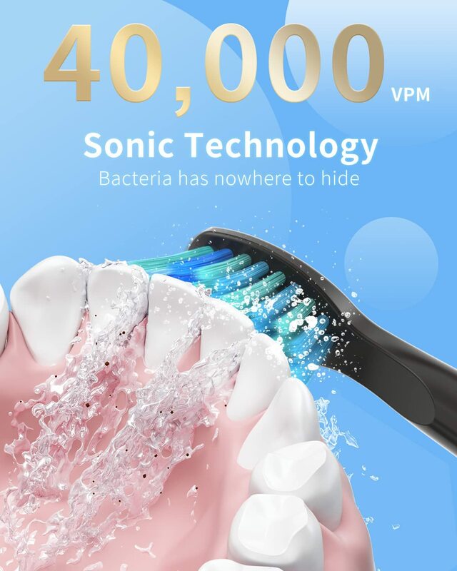 Seago sonic escova de dentes elétrica SG-507 para adulto temporizador escova 5 modos micro usb recarregável cabeças substituição do dente conjunto