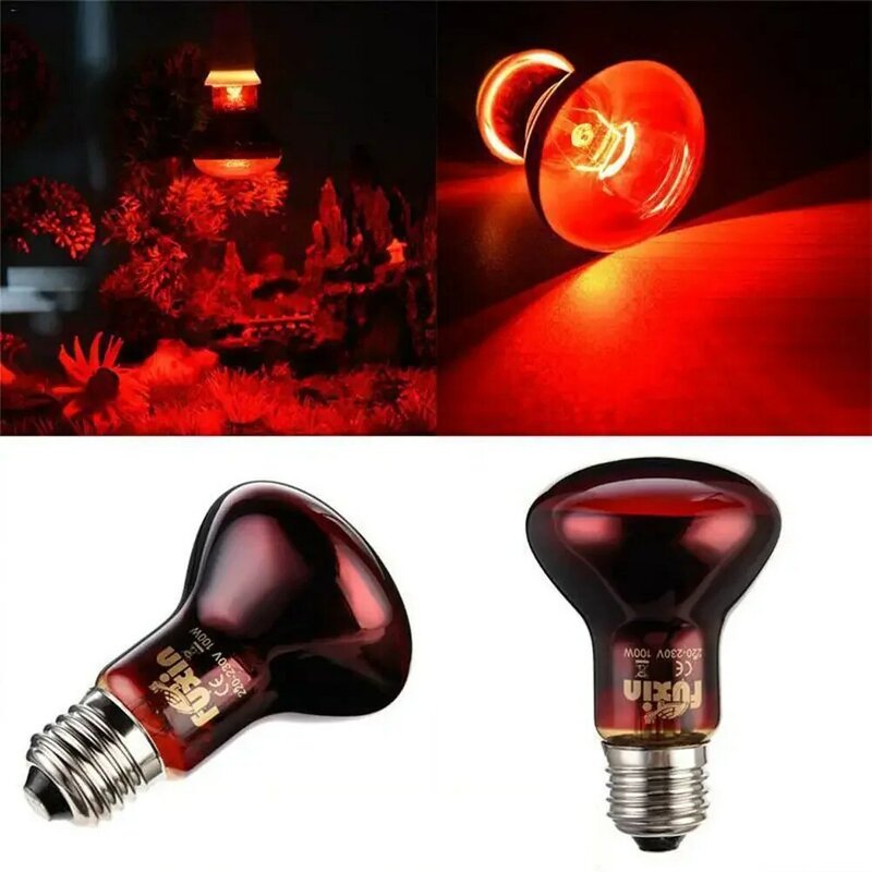 Veilleuse LED rouge pour reptile, ampoule de lampe chauffante infrarouge UVA pour salle, lézard, reptile, 60W, 75W, 100W