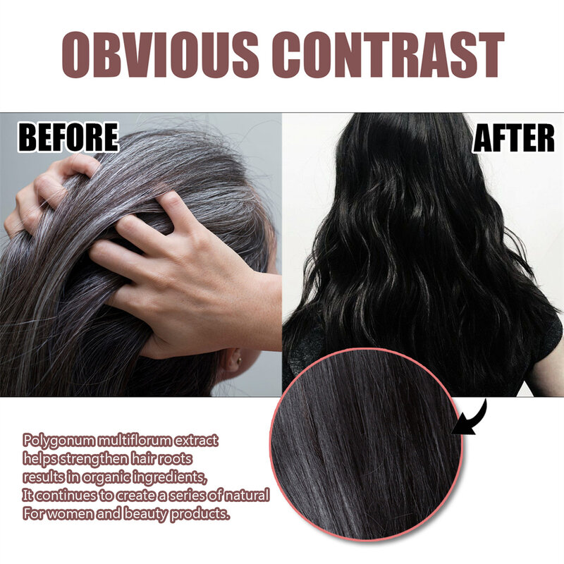 Eelhoe Polygonum schwarzes Haar Shampoo feuchtigkeit spendende Serum Haars eife Anti Schuppen Schaden Reparatur Glanz glatt für alle Haar typen