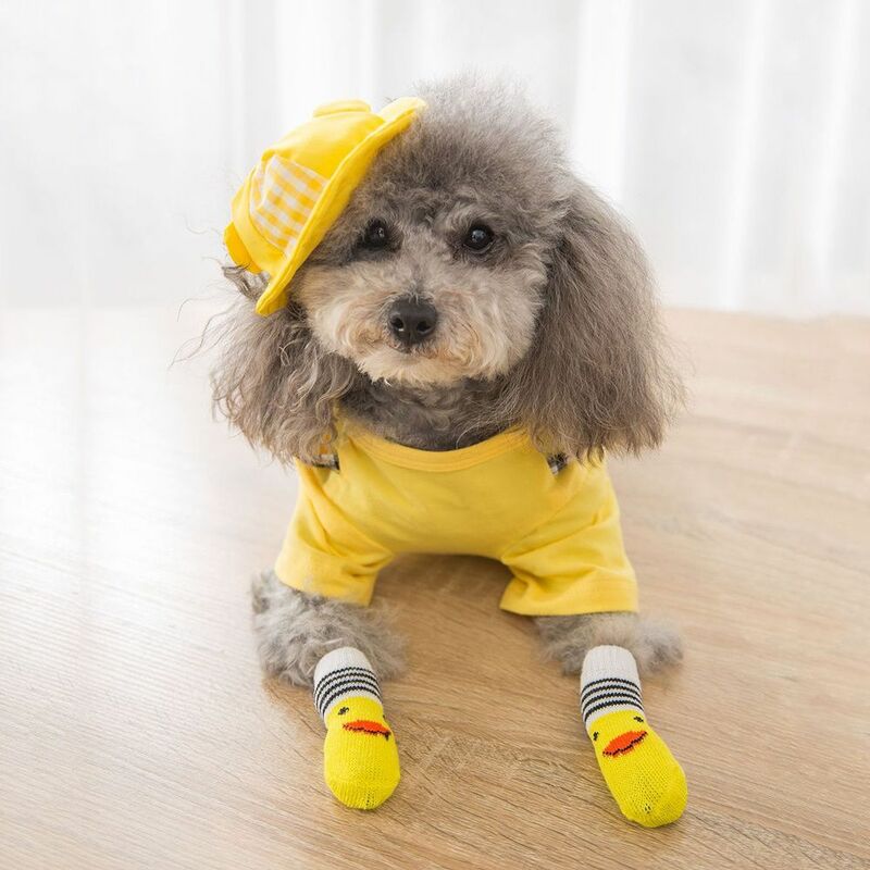 Sem meias de algodão fluorescente, multi-estilo, respirável, resiliente, não é fácil de cair, suprimentos para cães