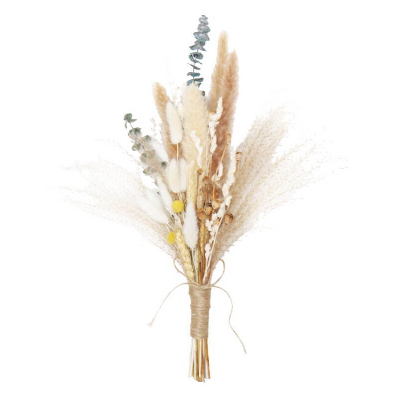 1 Set Tanaman Asli Dekorasi Alami Pampas Rumput Bunga Kering untuk Pesta Pernikahan DIY Kerajinan Phragmites Kelinci Ekor Rumput