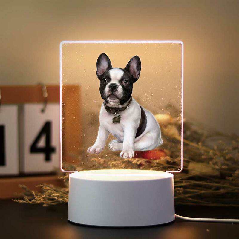 1pc Husky dog  Mandala 3D Visual Acrylic Lamp Room Decor Kids Birthday Gift dog