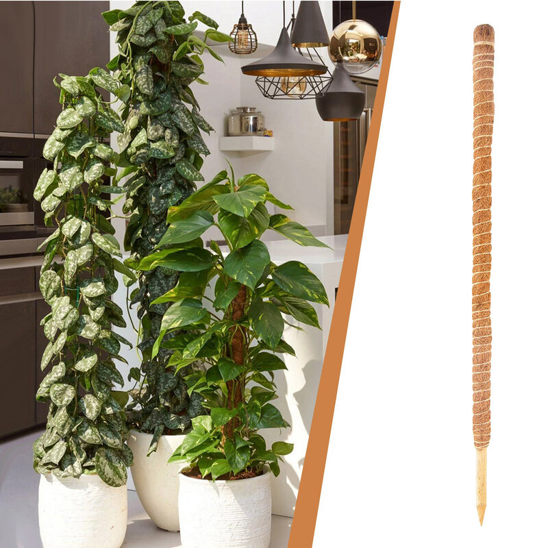 Poste de musgo flexible para plantas trepadoras de interior, palo de vides de Palma, extensión de soporte para plantas trepadoras