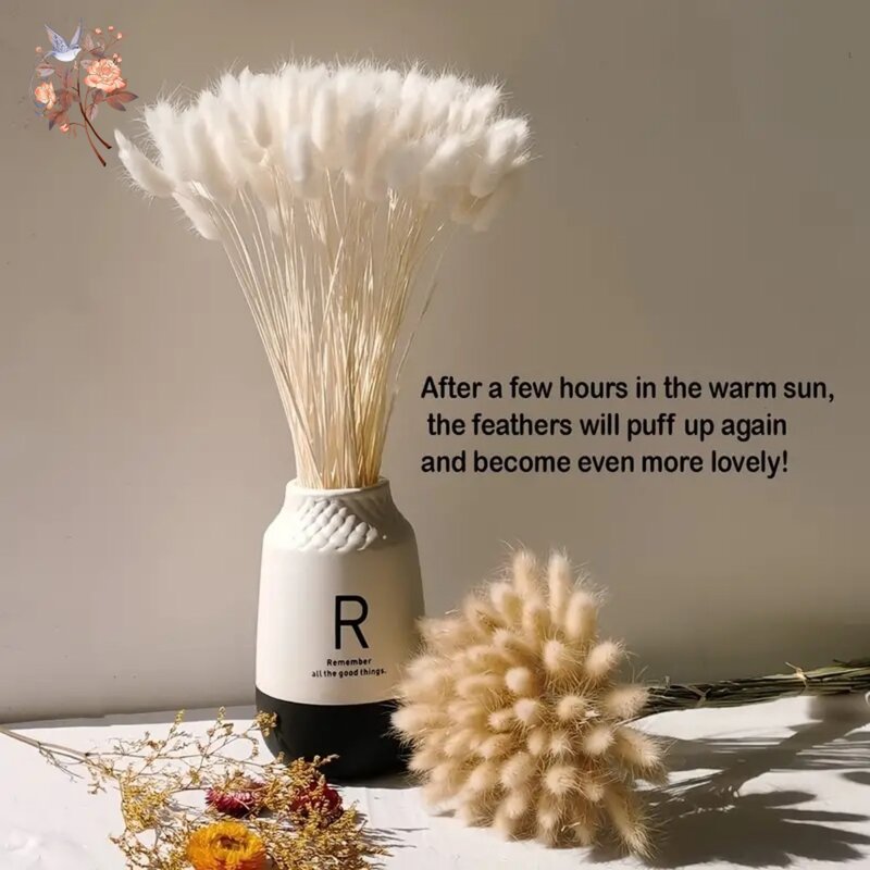 Ramo de flores secas de hierba de cola de conejo Natural, Lagurus Ovatus Pampas, decoración Floral de boda, accesorios para fotos del hogar, 60 piezas